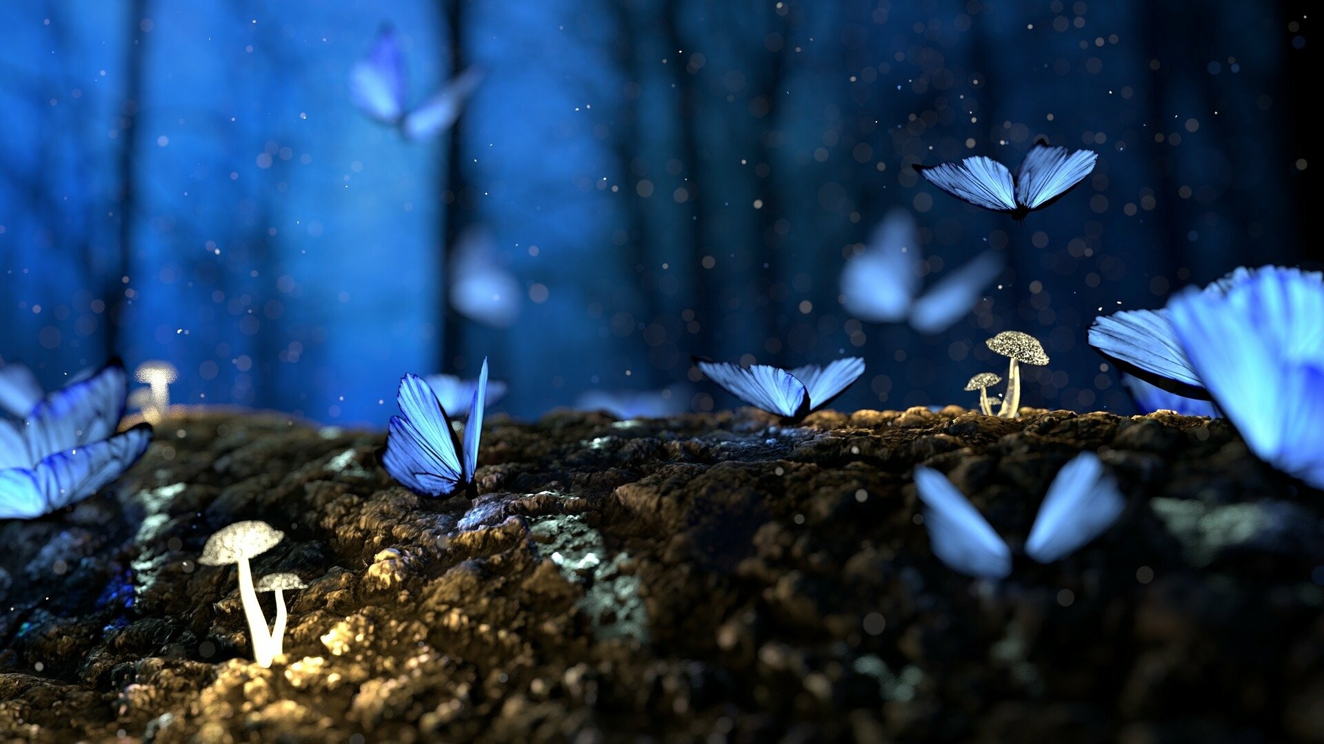 Header background